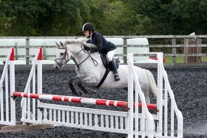 Class 7 - Fences 3' to 3'3